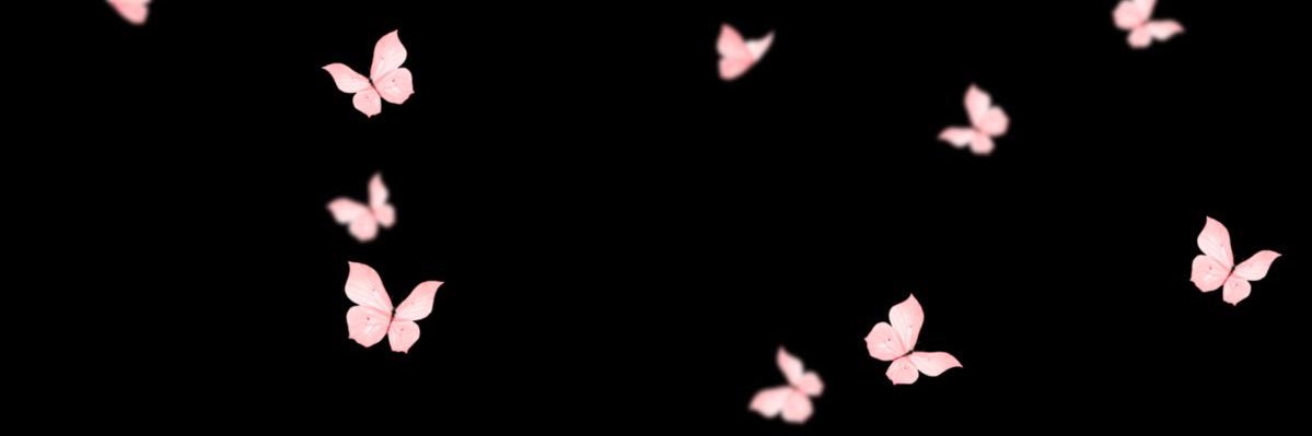 layannn03's profile banner image