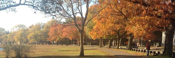 NicolaFirth6 Profile Banner