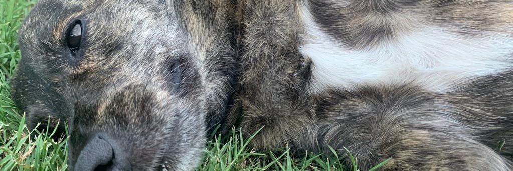 Vaniperezm's profile banner image