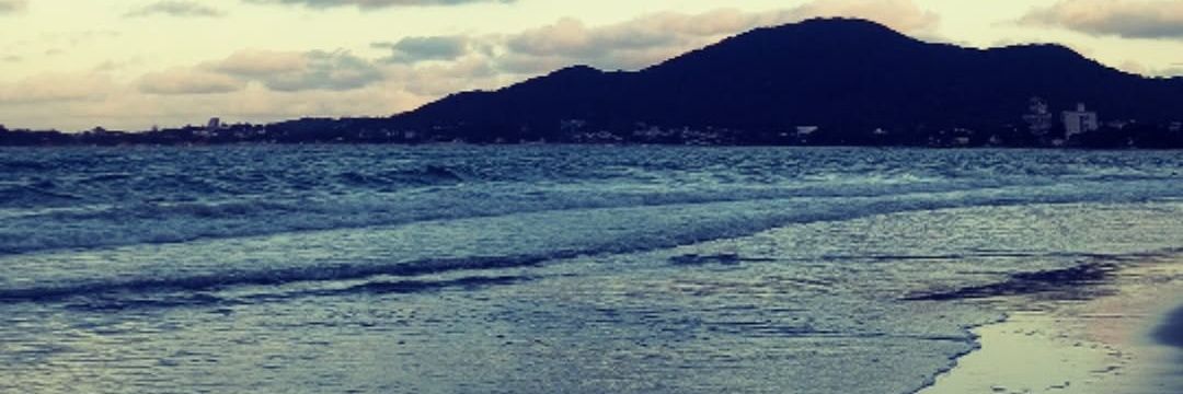 clarahuberr's profile banner image