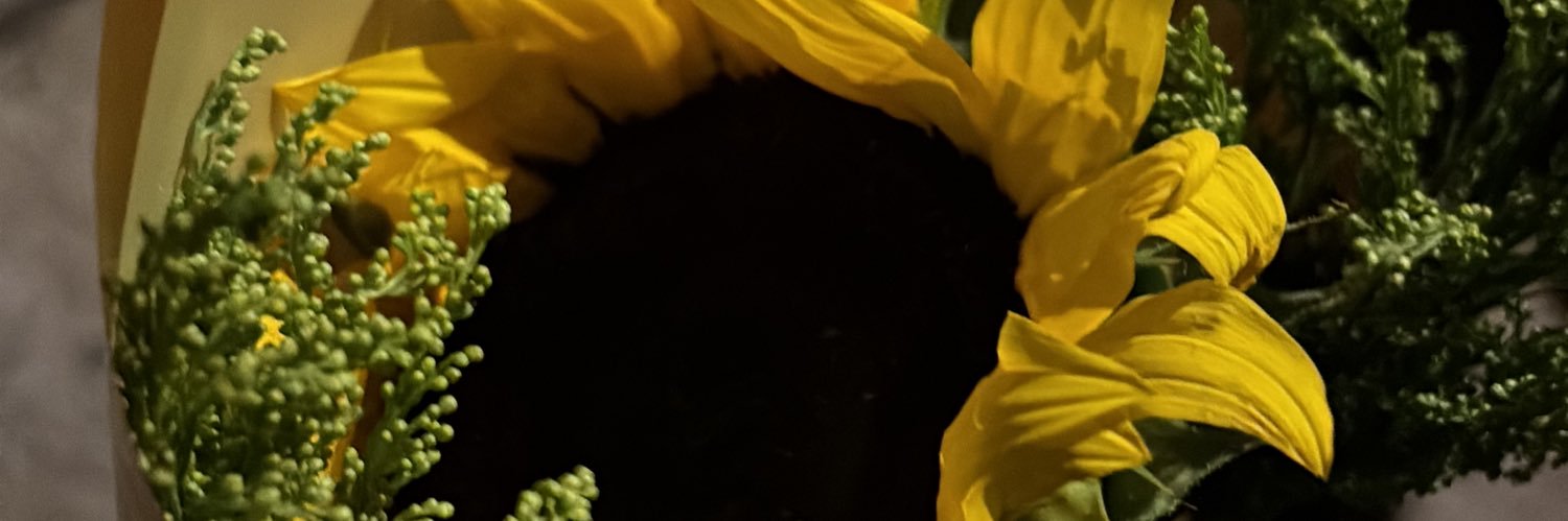 milaaavilaa's profile banner image
