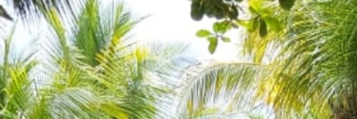 bogey2013's profile banner image