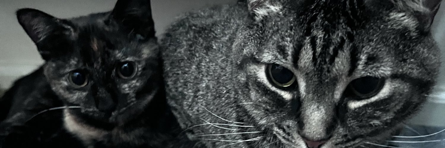 deluxxe banner