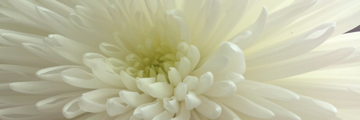 maiju_f's profile banner image