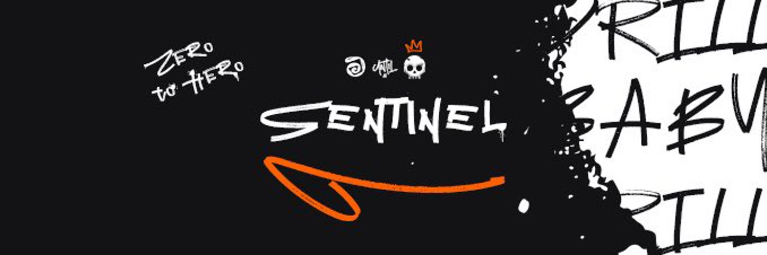 Sentinel | DC Profile Banner