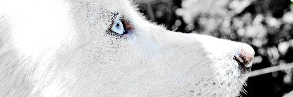 CataH0's profile banner image