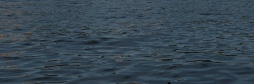 Ben Lovell @socksy@toot.cat banner