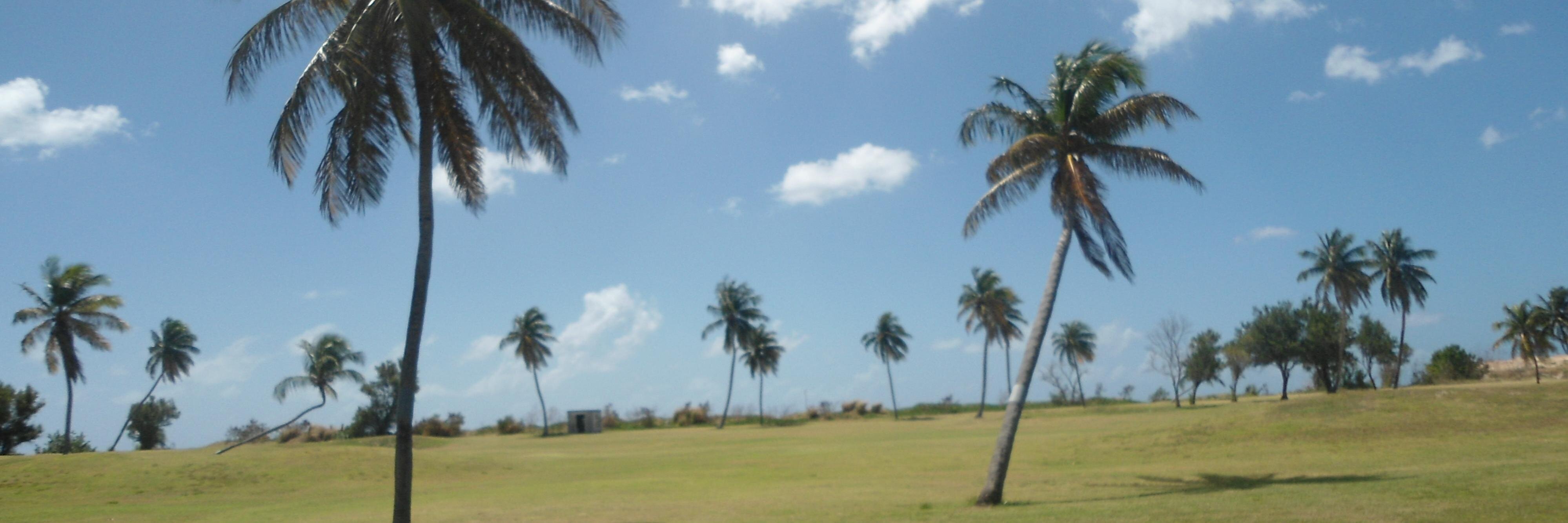 Brittany Langlois banner