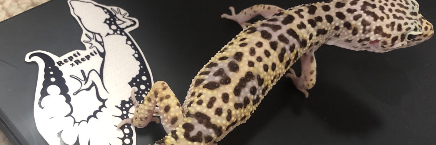 alt6st's profile banner image