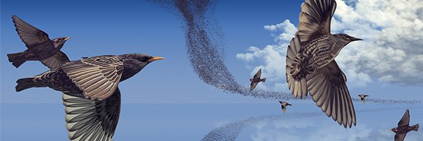 BD4Analytics's profile banner image