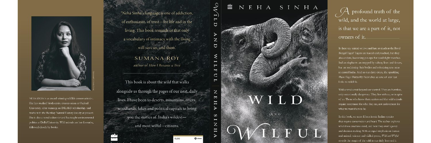 Neha Sinha's banner