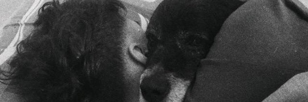 debustos1's profile banner image