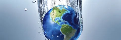 Michelle Holko banner