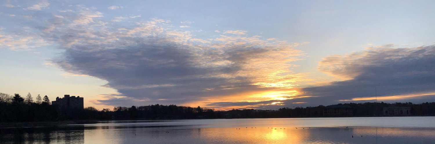 Bridgette_M01's profile banner image