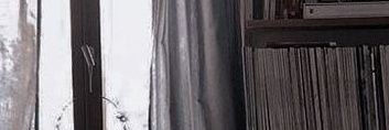 EnVer🐙🍷 banner