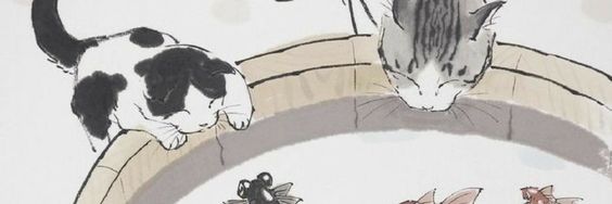 aylapolyglot's profile banner image