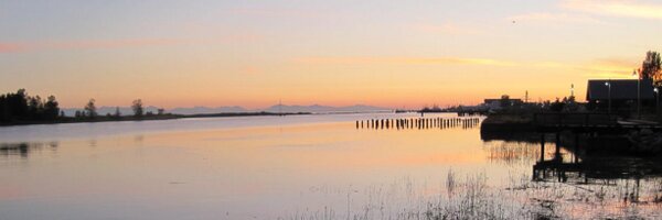 raulpacheco Profile Banner