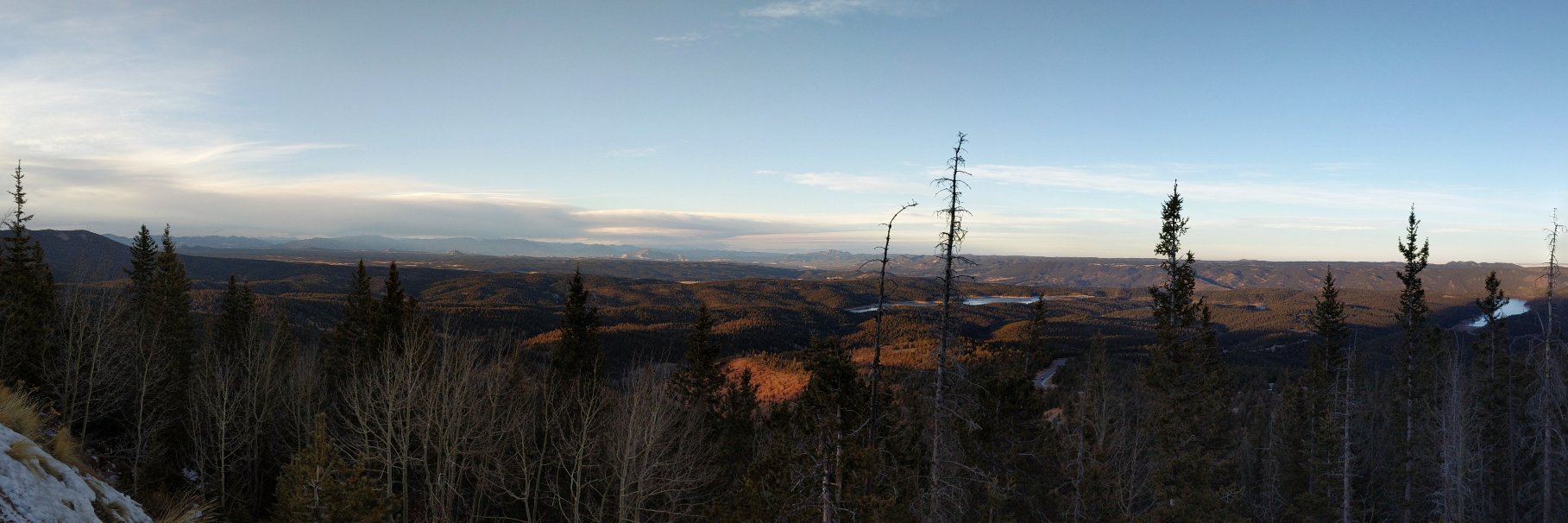 Brian KimJohnson banner