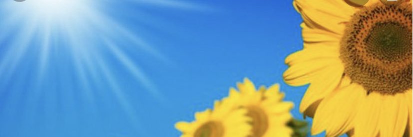 calscons's profile banner image