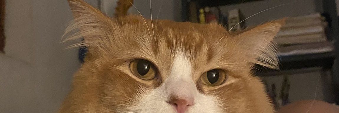 am banner