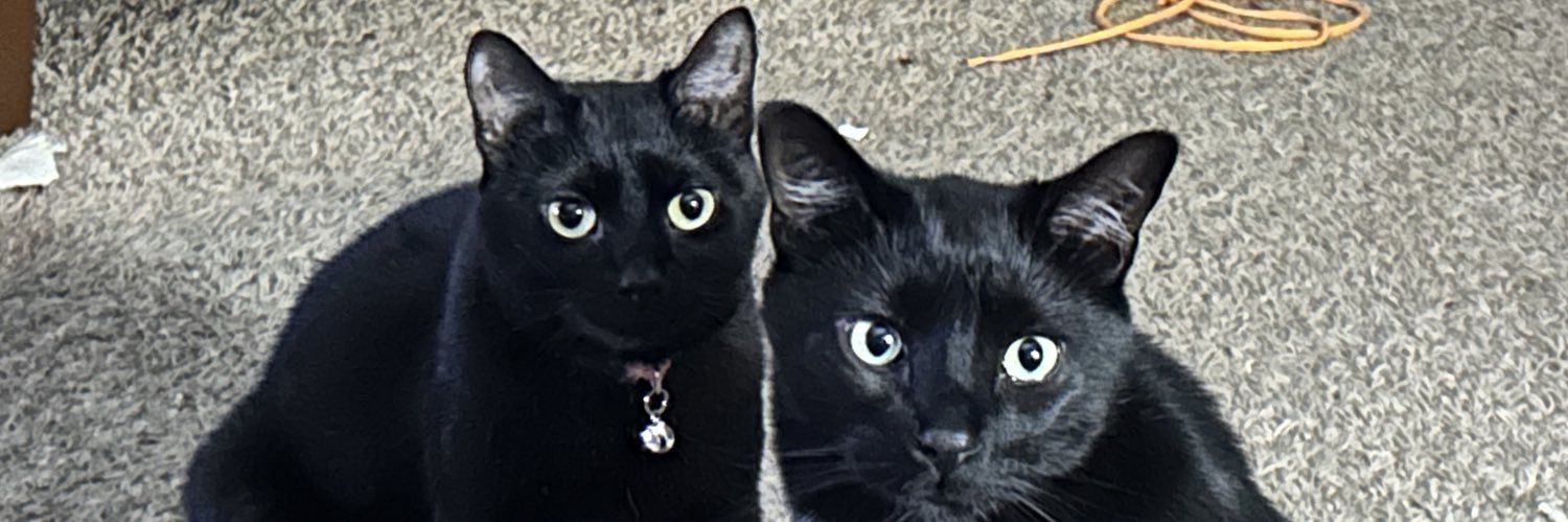 Derek Cardwell banner