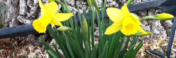 BLazar505 Profile Banner