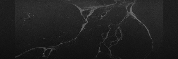 missing_sil7532 Profile Banner