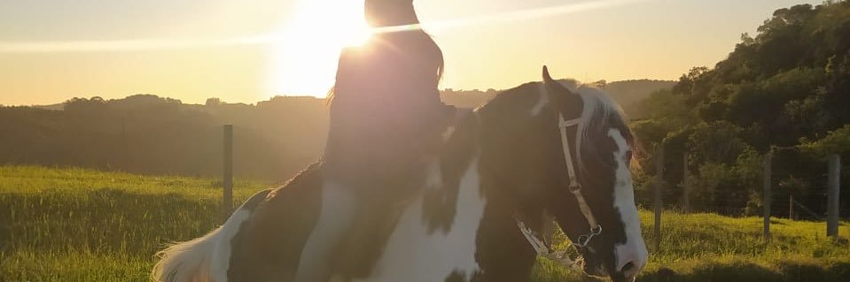 lelibarboza's profile banner image