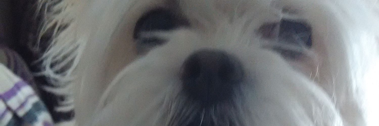 Rubencostaro's profile banner image