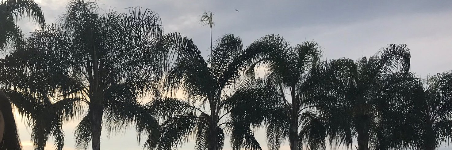 brendsnery's profile banner image