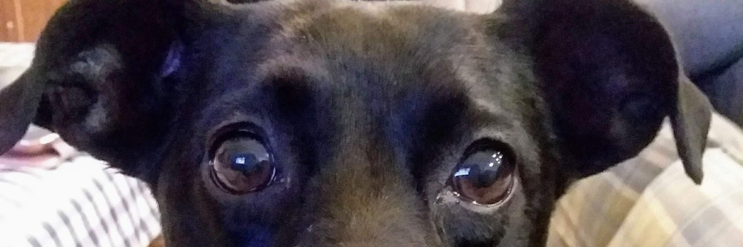 TefllessonsBeth's profile banner image