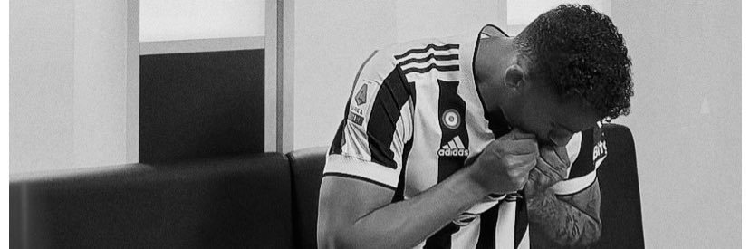 zebra191020's profile banner image