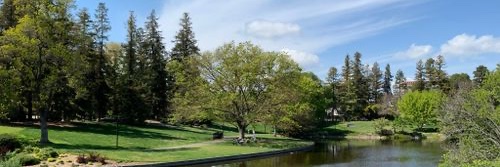 Michael Ragone banner