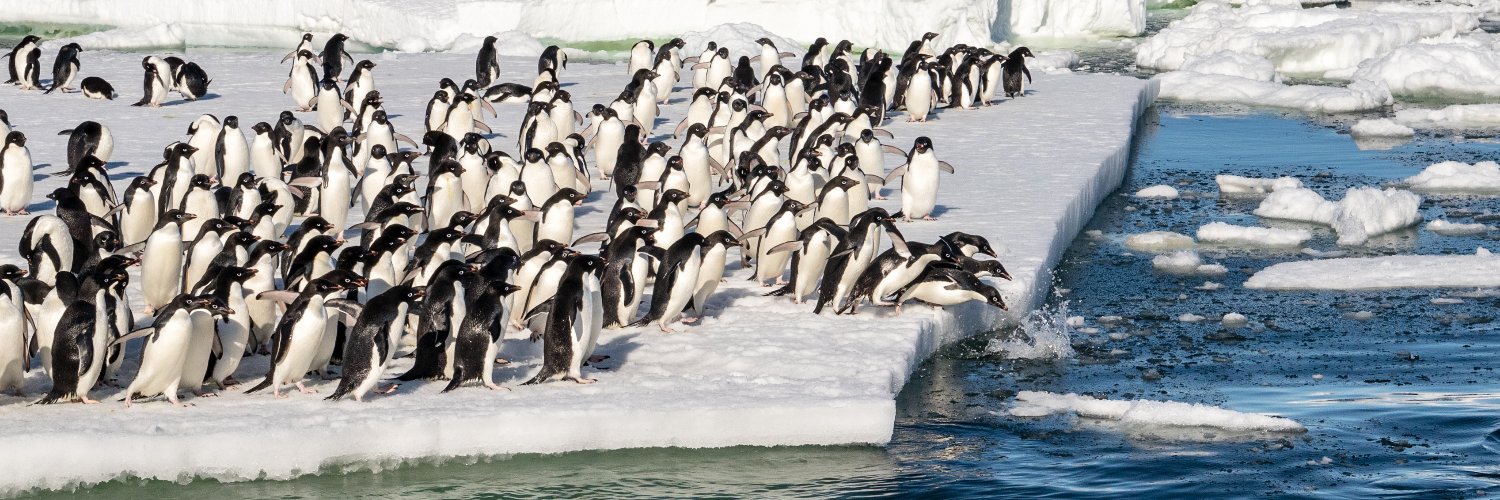 Annie Schmidt banner