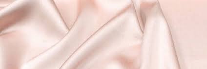 Skinny Williams banner