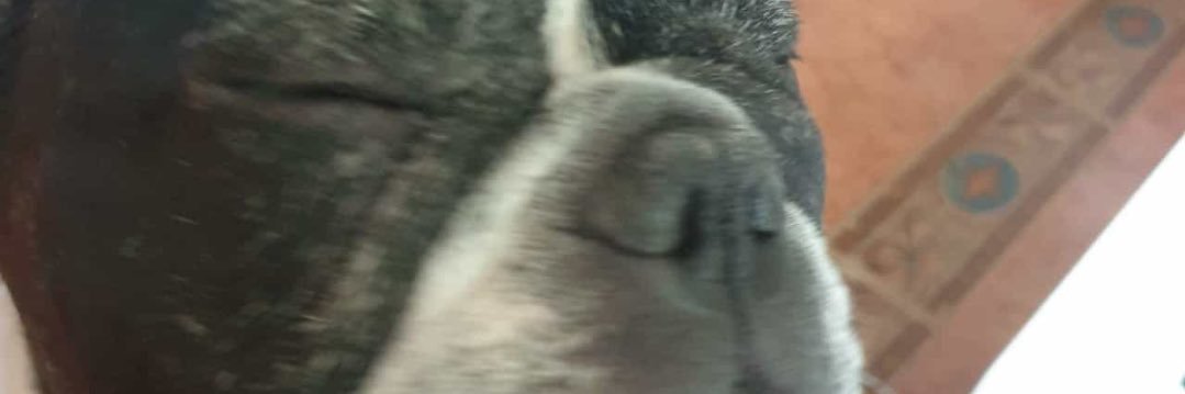 AsIiMoVeD's profile banner image