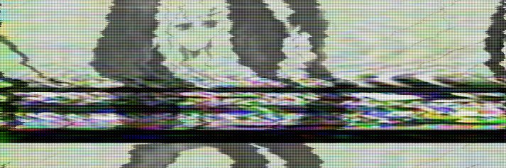 鰐嶋 banner