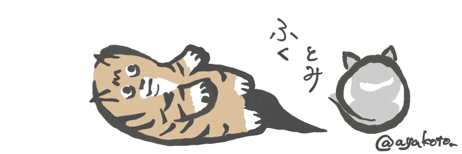 ayakoto_'s profile banner image