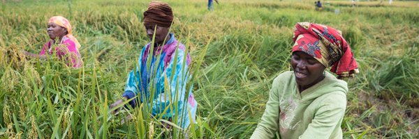 Kiva Profile Banner
