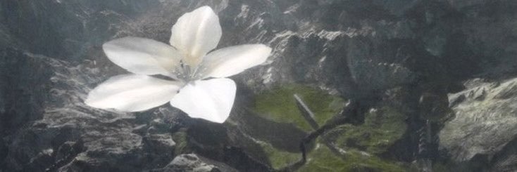333biteme's profile banner image