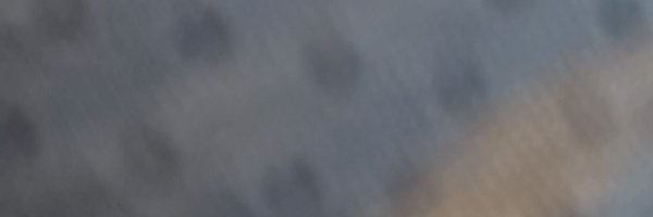 ZDotCarter Profile Banner