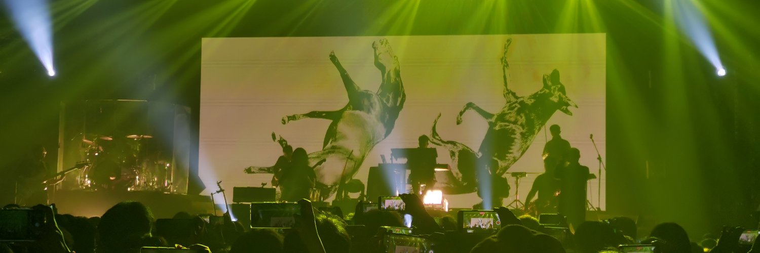 爱做白日梦 banner