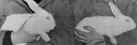 boneless_xvx's profile banner image