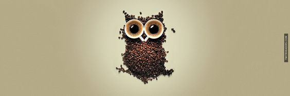 owlsarcasm's profile banner image