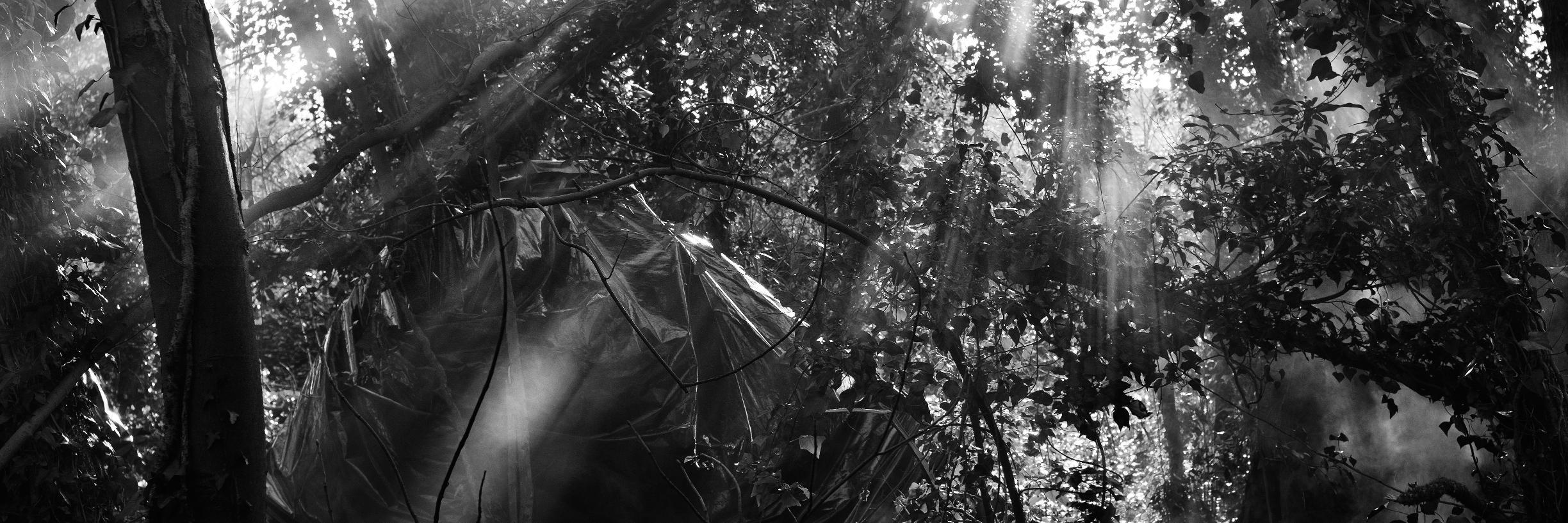 Martin_Varret's profile banner image