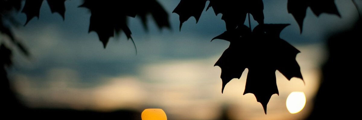 hannichoooo's profile banner image