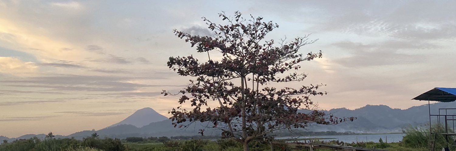 ekcpta's profile banner image