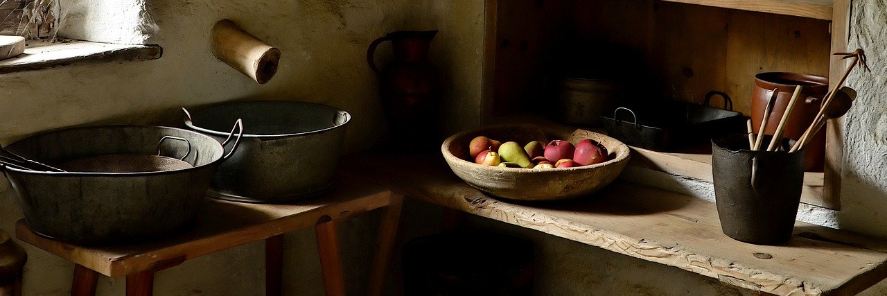 Human Dignitist banner