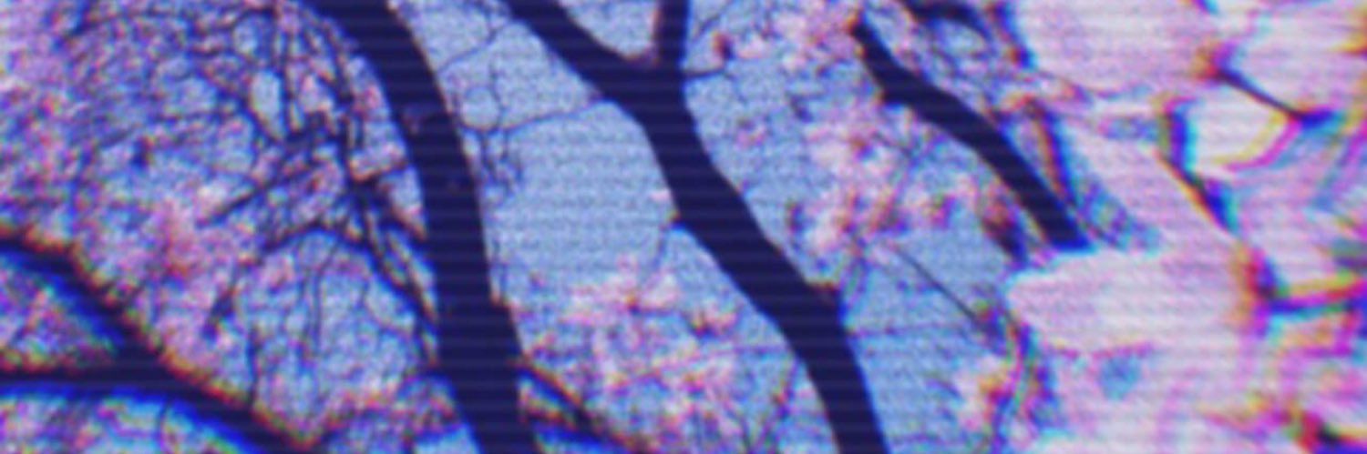 CODY/MELLUN 's banner