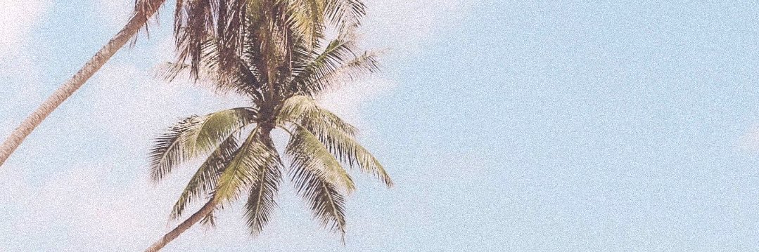 穂住 佳歩's banner